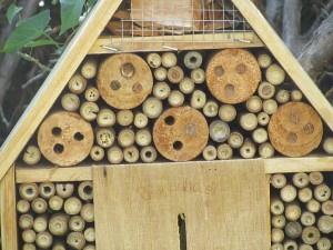 Von Bienen verklebte Bohrlöcher im Bienenhotel