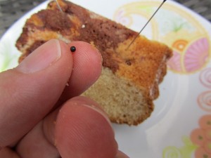 Wunderkerzen Gift auf Kuchen