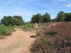 Wissenstafeln an der Mehlinger Heide