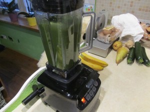 Mein Incutex Profi Smoothie Maker ist dank hoher Drehzahl und Wattleistung ideal für den grünen Entgiftungs Smoothie