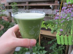 Rezept zum grünen Brennnessel Weizengras Smoothie mit Reismilch und Honig