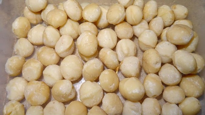 Roh vegan und zu hoher Gewichtsverlust Macadamia Nüsse können dagegen helfen