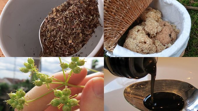 Naturstoffe für die Medizin