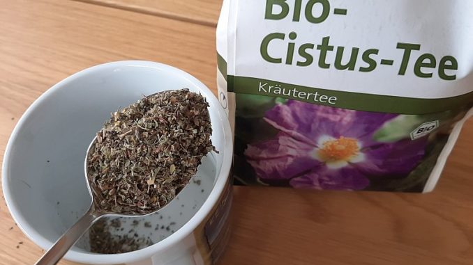 Zistrosentee Wirkung