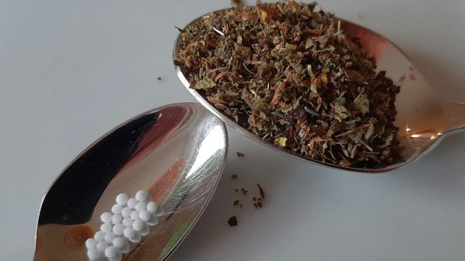 Naturheilkunde Unterschiede pflanzliche Heilmittel im Vergleich zur Homöopathie Pflanzliche nachweisbare Wirkstoffe vs. homöopathische Mittel